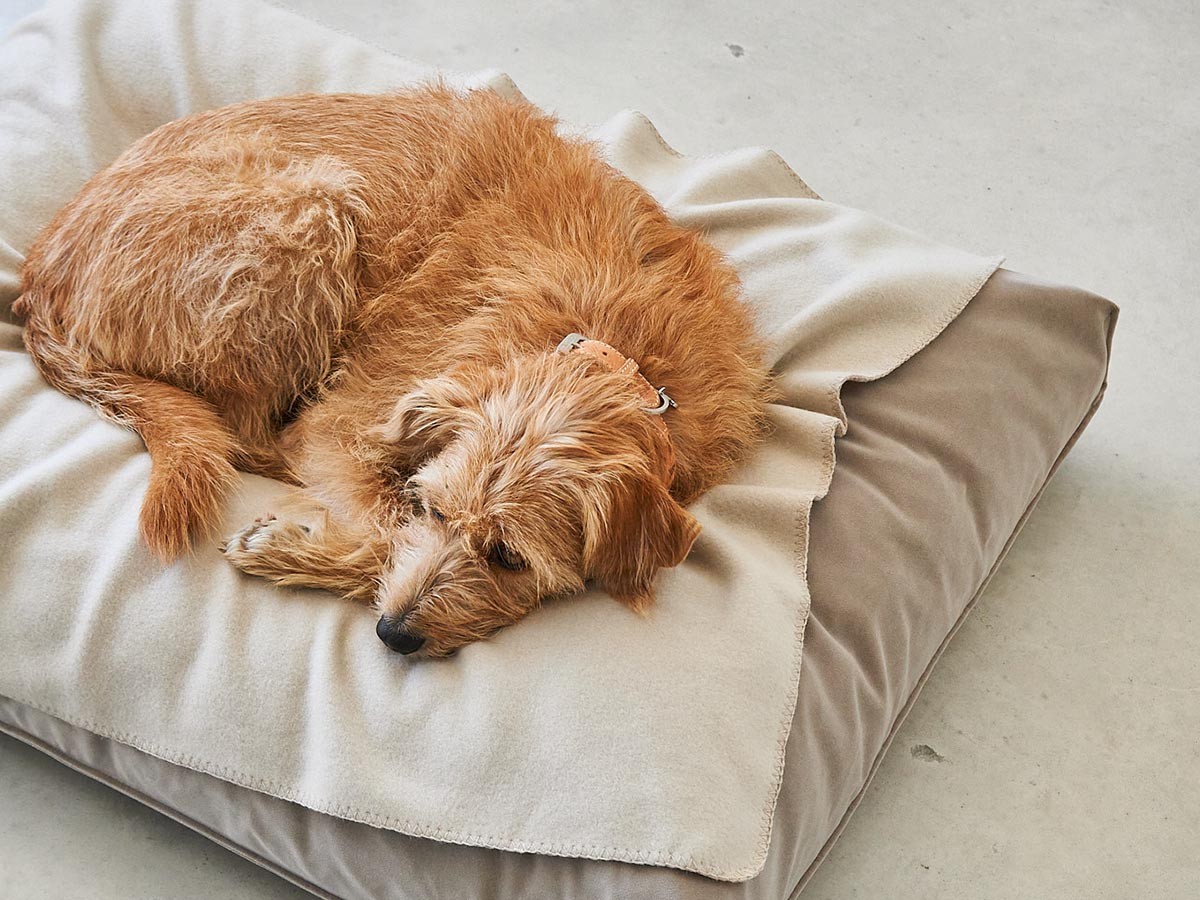 MiaCara Velluto Dog Cushion / ミアカラ ヴェルート ドッグクッション Sサイズ （雑貨・その他インテリア家具 > ペット用品・家具） 11