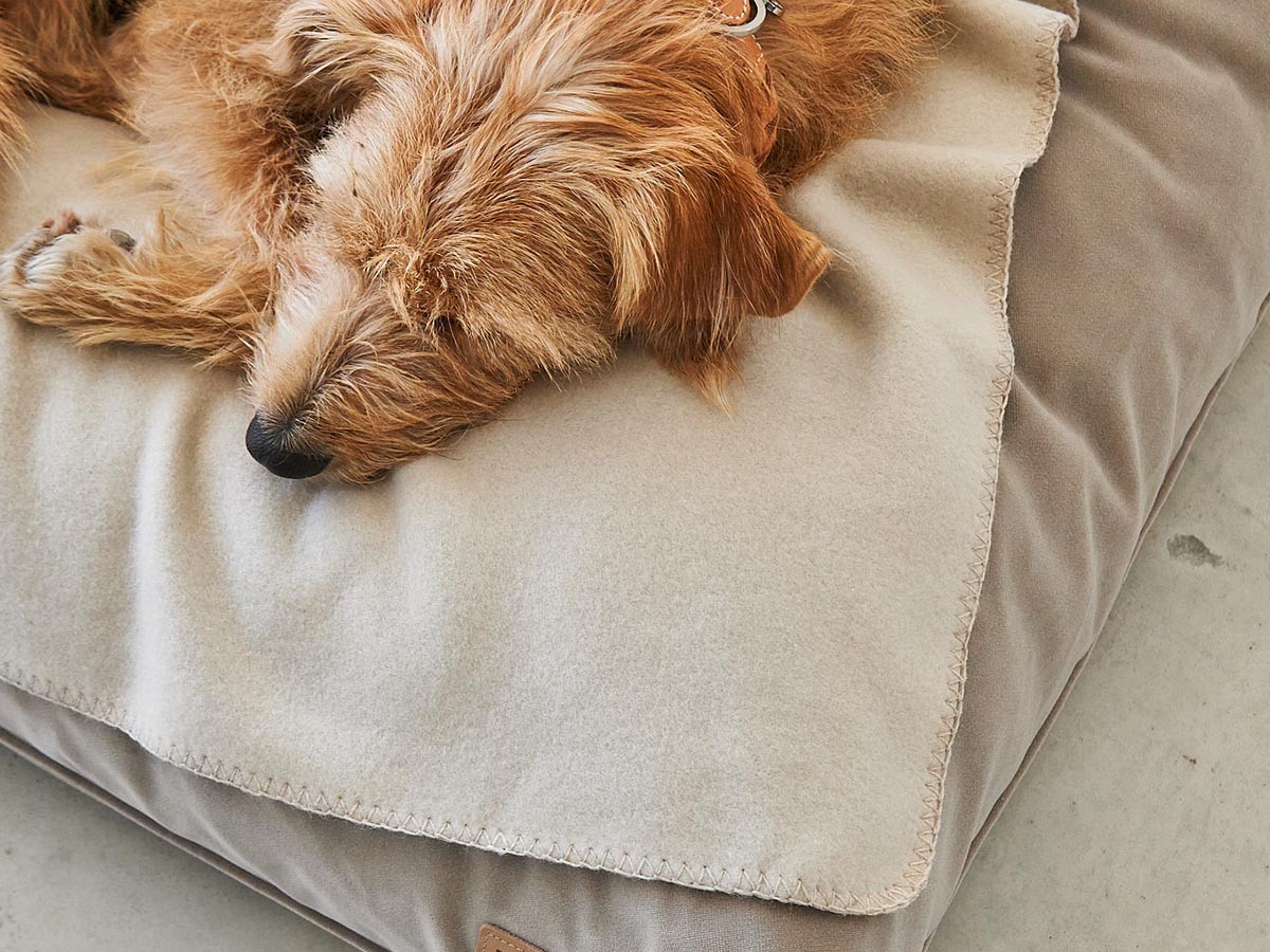 MiaCara Velluto Dog Cushion / ミアカラ ヴェルート ドッグクッション Sサイズ （雑貨・その他インテリア家具 > ペット用品・家具） 14