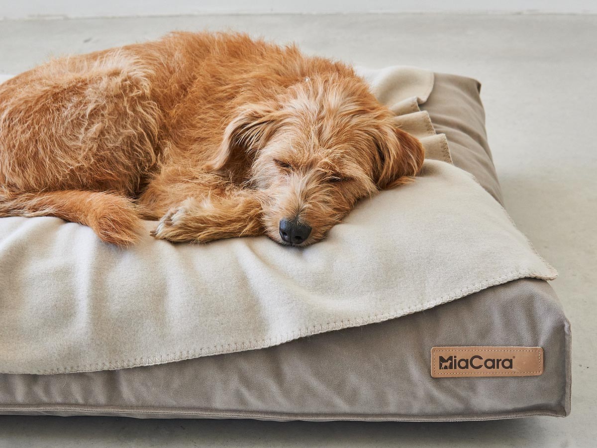 MiaCara Velluto Dog Cushion / ミアカラ ヴェルート ドッグクッション Sサイズ （雑貨・その他インテリア家具 > ペット用品・家具） 8