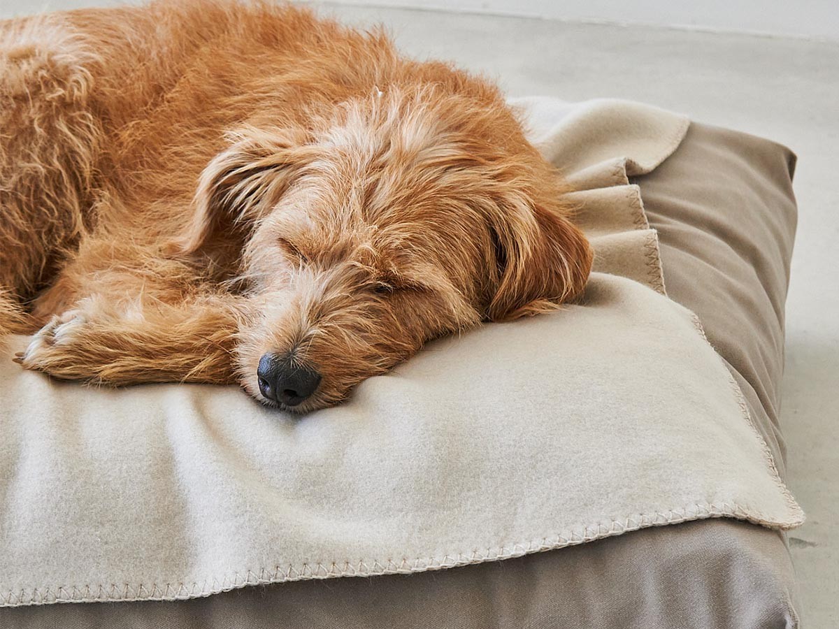 MiaCara Velluto Dog Cushion / ミアカラ ヴェルート ドッグクッション Sサイズ （雑貨・その他インテリア家具 > ペット用品・家具） 13