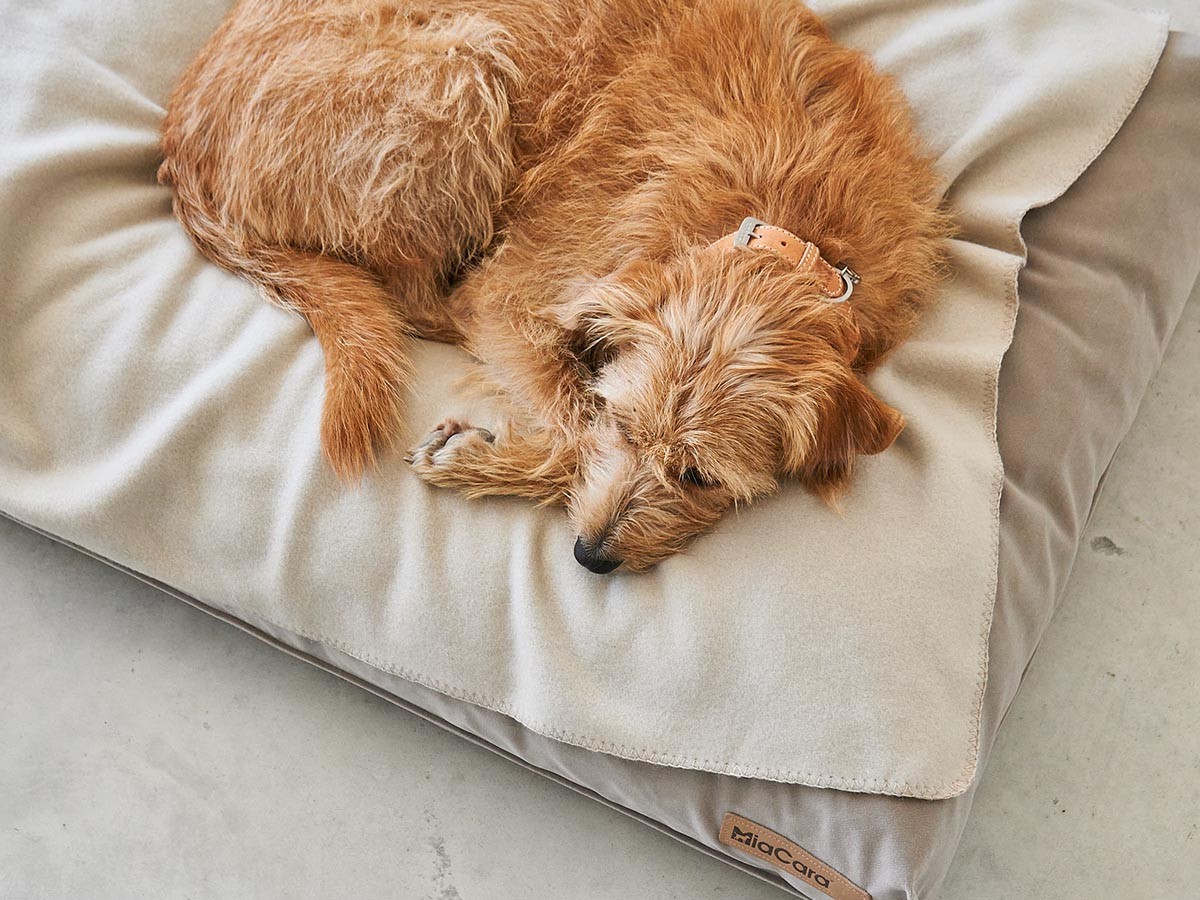 MiaCara Velluto Dog Cushion / ミアカラ ヴェルート ドッグクッション Sサイズ （雑貨・その他インテリア家具 > ペット用品・家具） 12