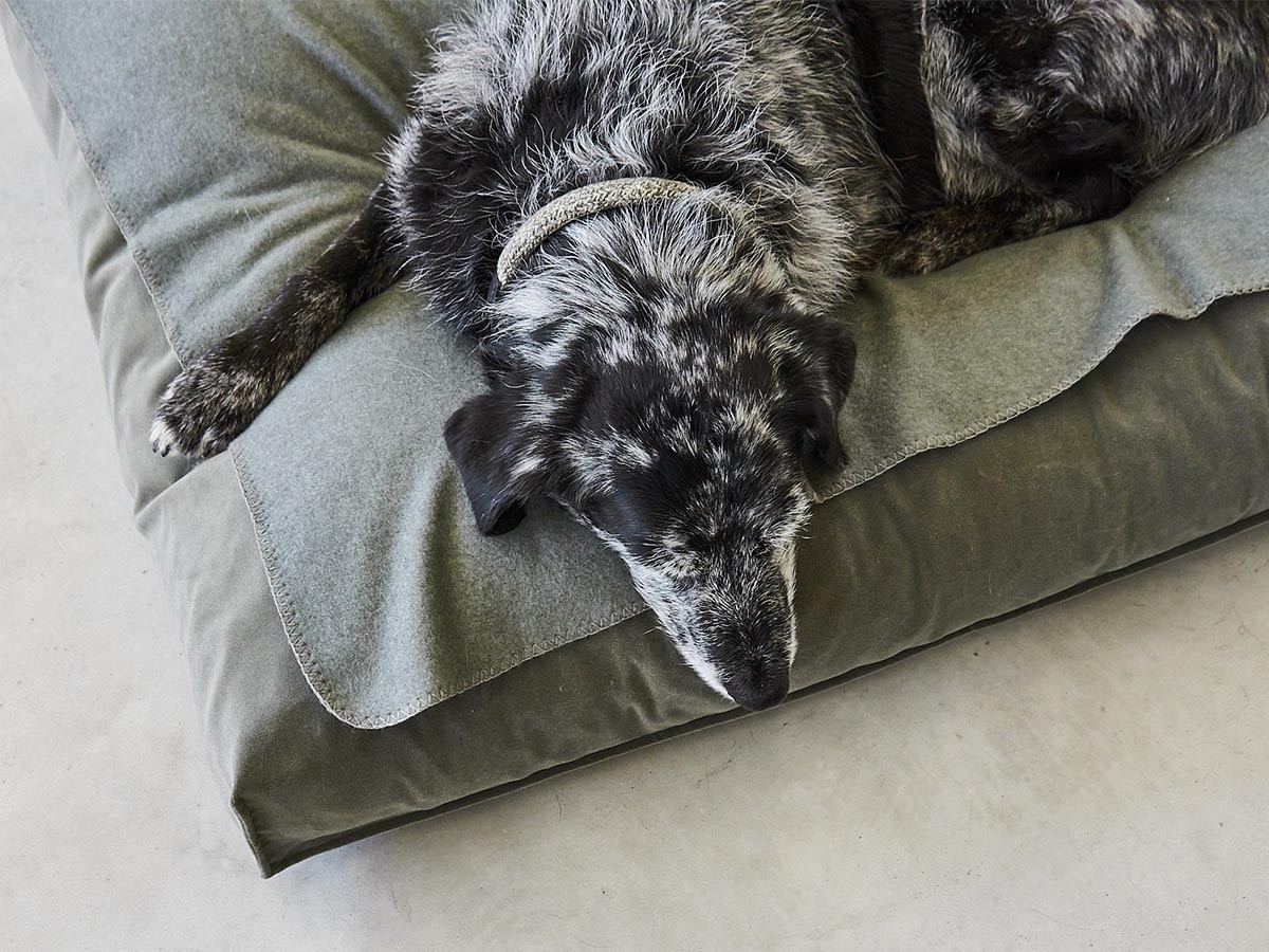 MiaCara Velluto Dog Cushion / ミアカラ ヴェルート ドッグクッション Sサイズ （雑貨・その他インテリア家具 > ペット用品・家具） 17