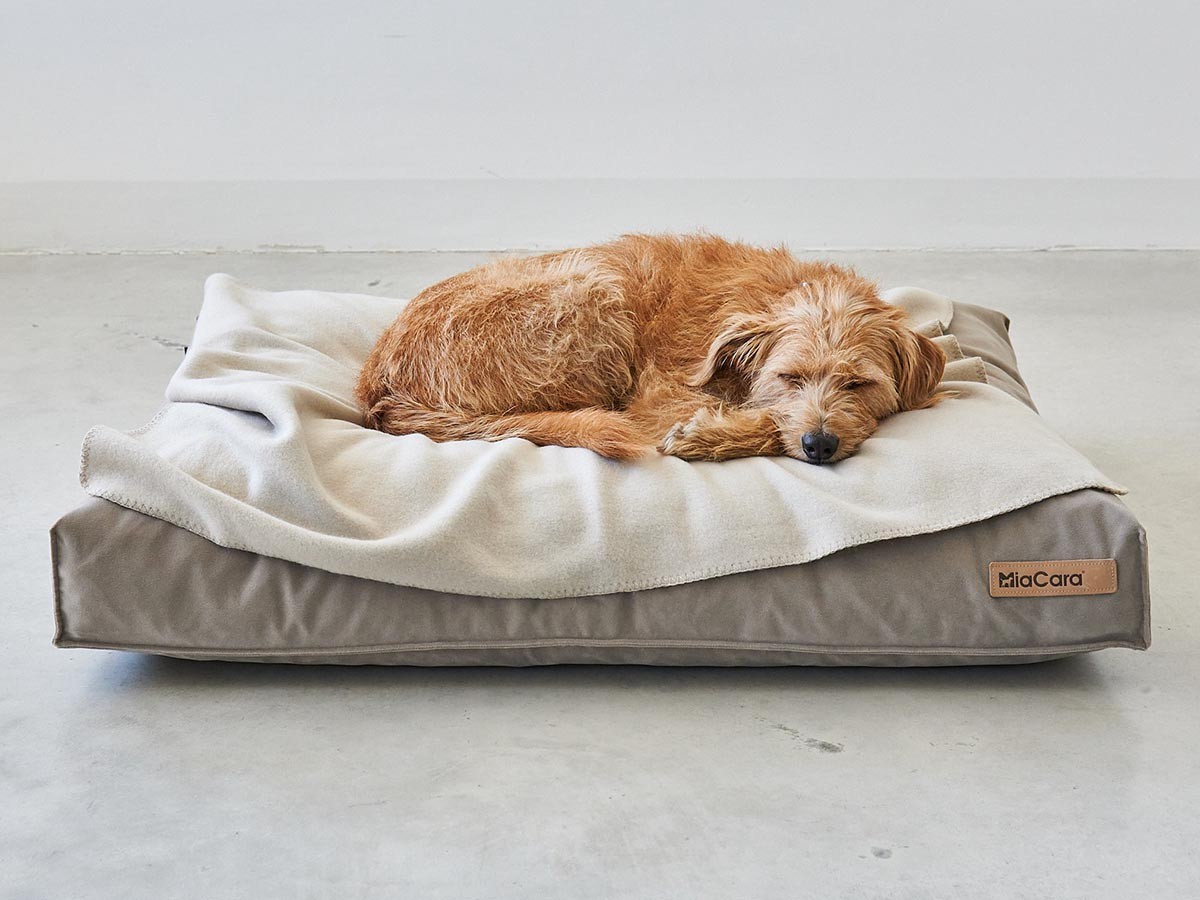 MiaCara Velluto Dog Cushion / ミアカラ ヴェルート ドッグクッション Sサイズ （雑貨・その他インテリア家具 > ペット用品・家具） 5