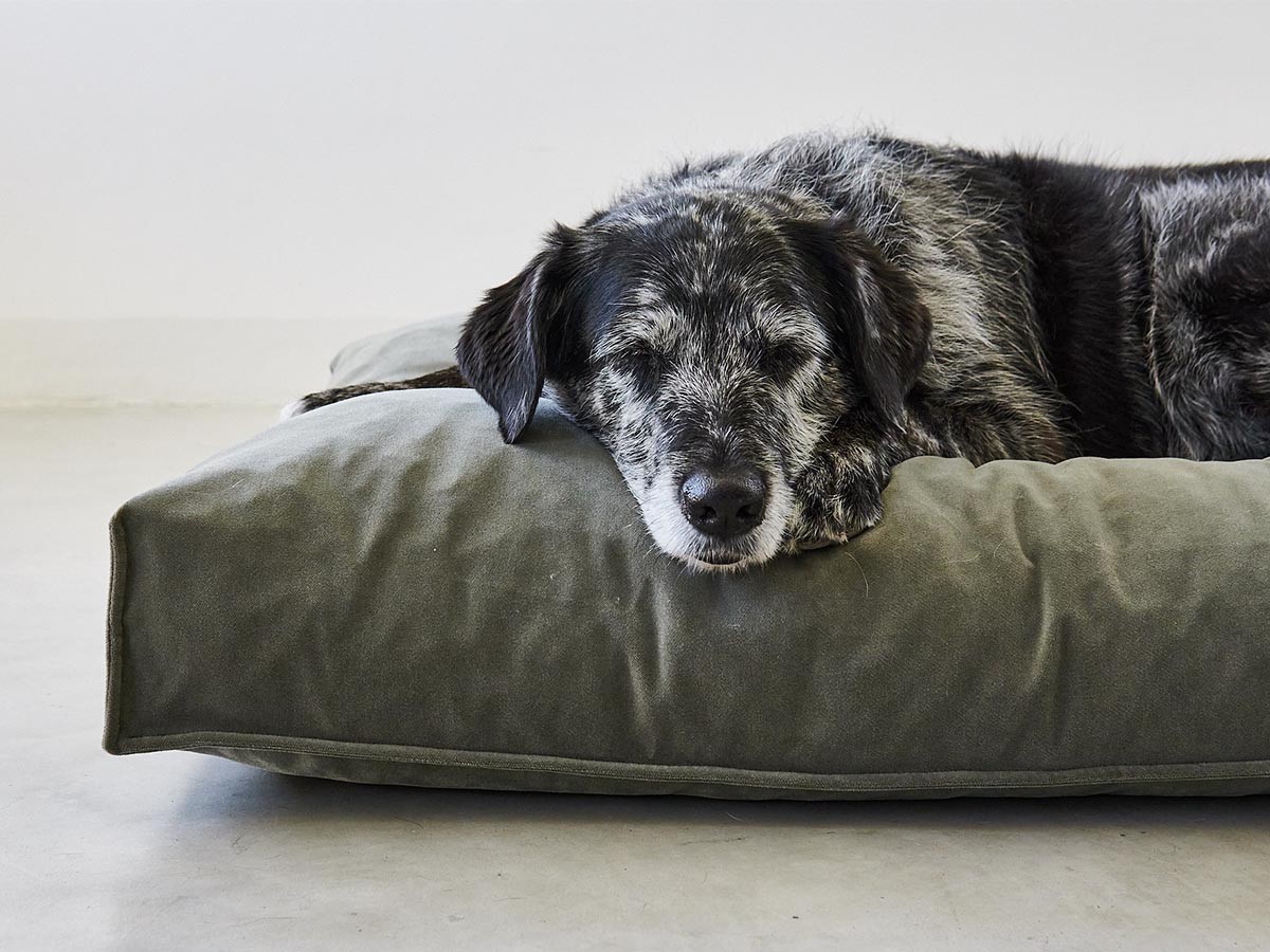 MiaCara Velluto Dog Cushion / ミアカラ ヴェルート ドッグクッション Sサイズ （雑貨・その他インテリア家具 > ペット用品・家具） 15