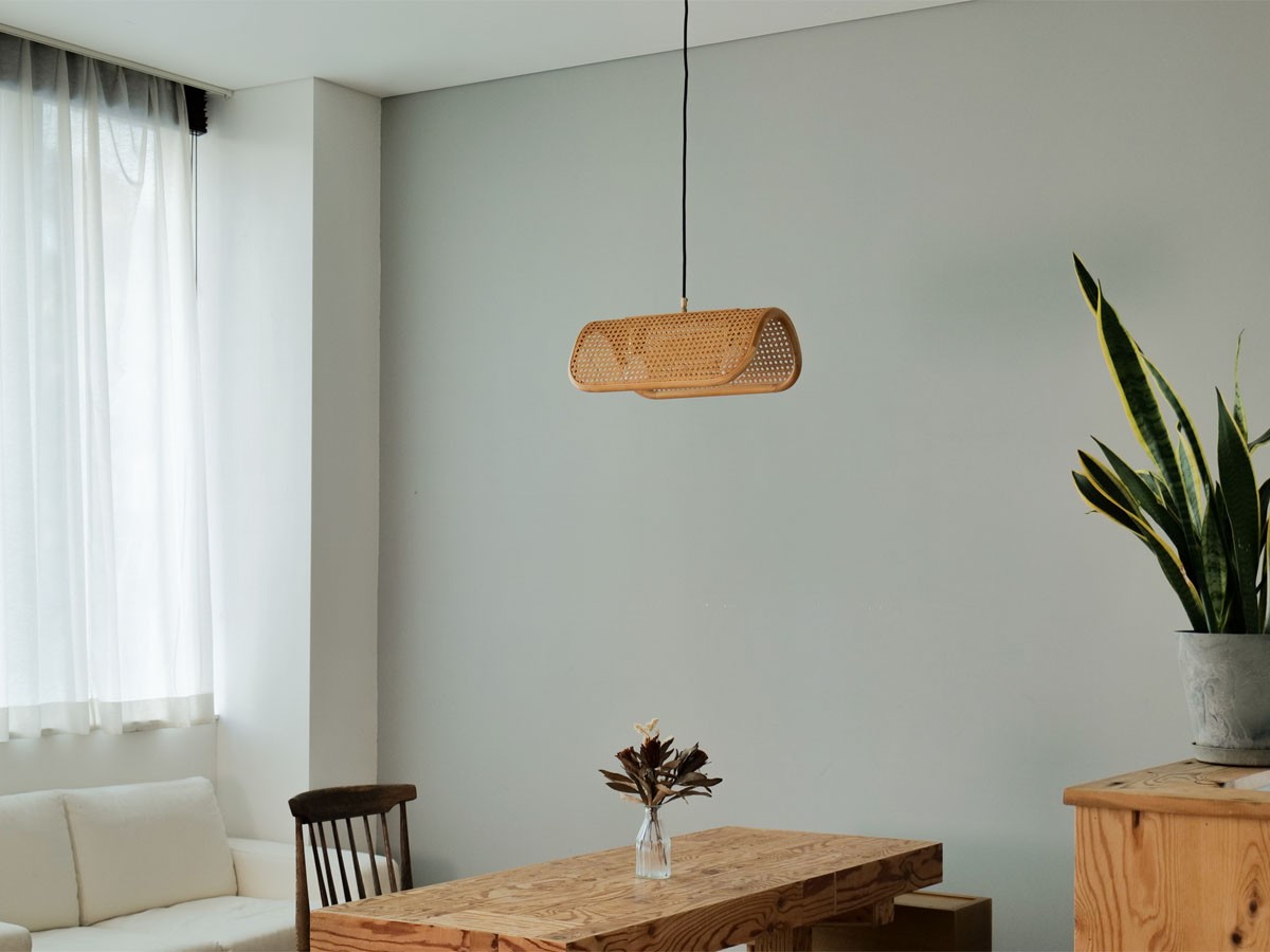 PENDANT LAMP / ペンダントランプ 2灯 #118633 （ライト・照明 > ペンダントライト） 4