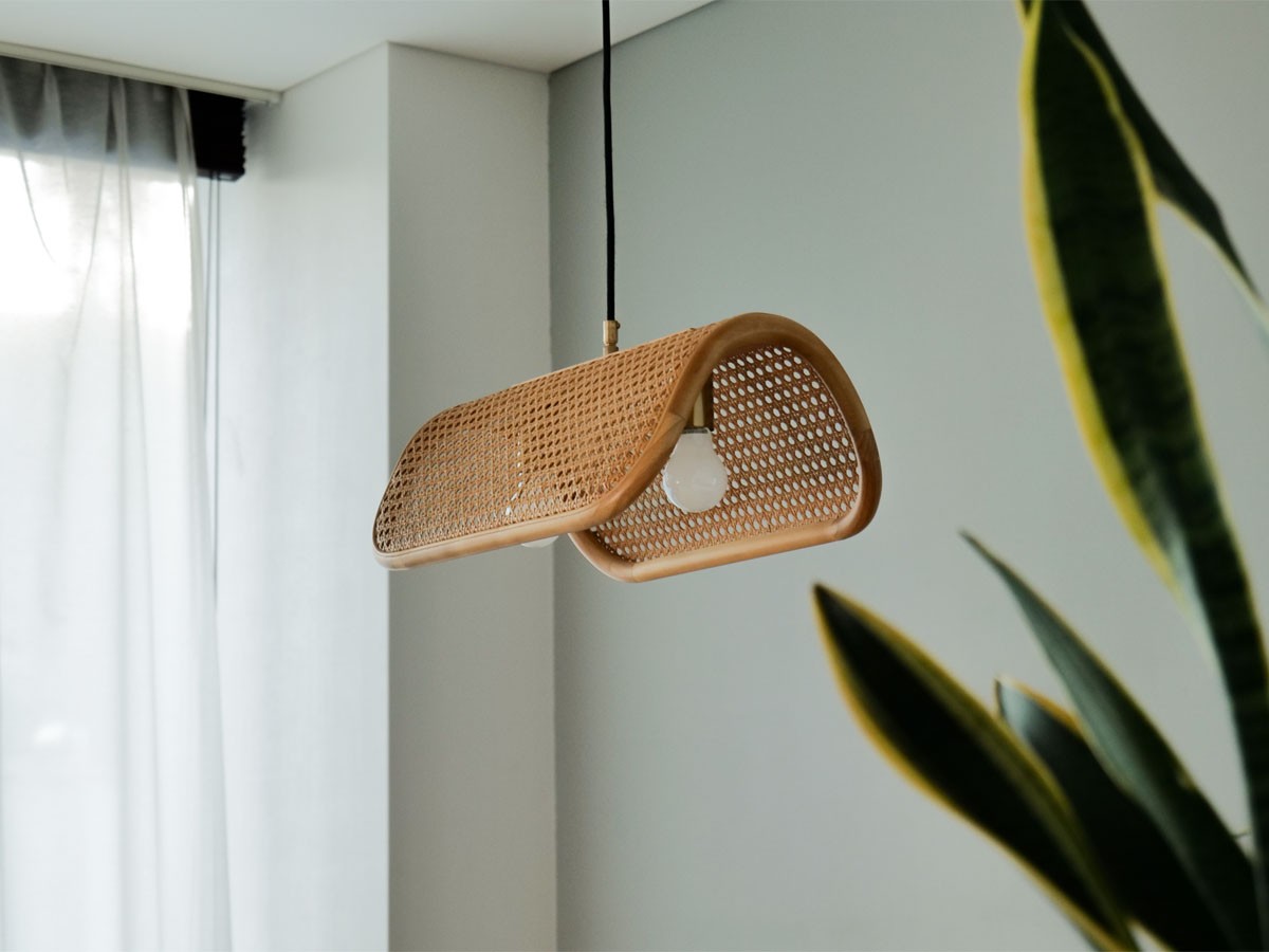 PENDANT LAMP / ペンダントランプ 2灯 #118633 （ライト・照明 > ペンダントライト） 5