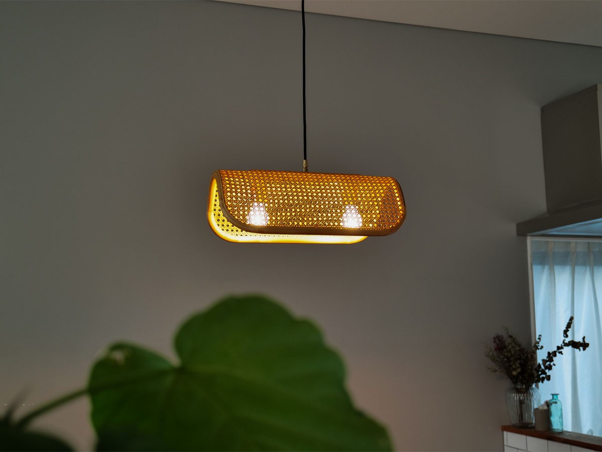 PENDANT LAMP / ペンダントランプ 2灯 #118633 （ライト・照明 > ペンダントライト） 6