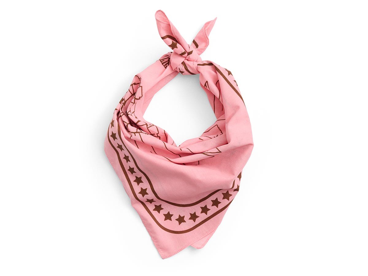 HAY HAY DOGS BY HOLLY GOLIGHTLY
DOGS SCARF / ヘイ ヘイ ドッグ コレクション
ドッグスカーフ （インテリア雑貨 > ペット用品） 24