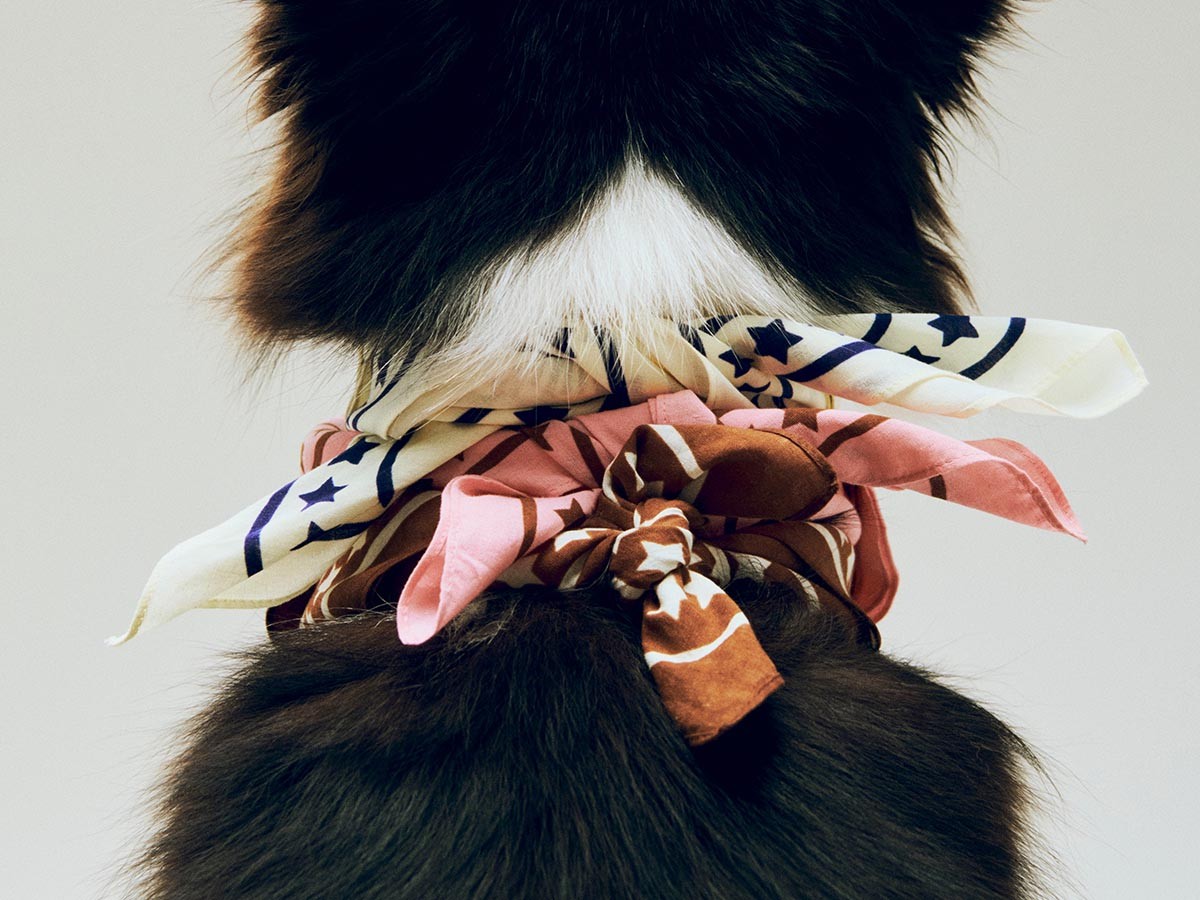 HAY HAY DOGS BY HOLLY GOLIGHTLY
DOGS SCARF / ヘイ ヘイ ドッグ コレクション
ドッグスカーフ （インテリア雑貨 > ペット用品） 9