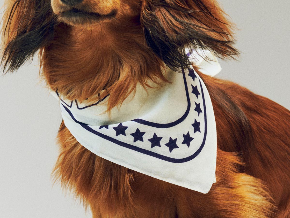 HAY HAY DOGS BY HOLLY GOLIGHTLY
DOGS SCARF / ヘイ ヘイ ドッグ コレクション
ドッグスカーフ （インテリア雑貨 > ペット用品） 15