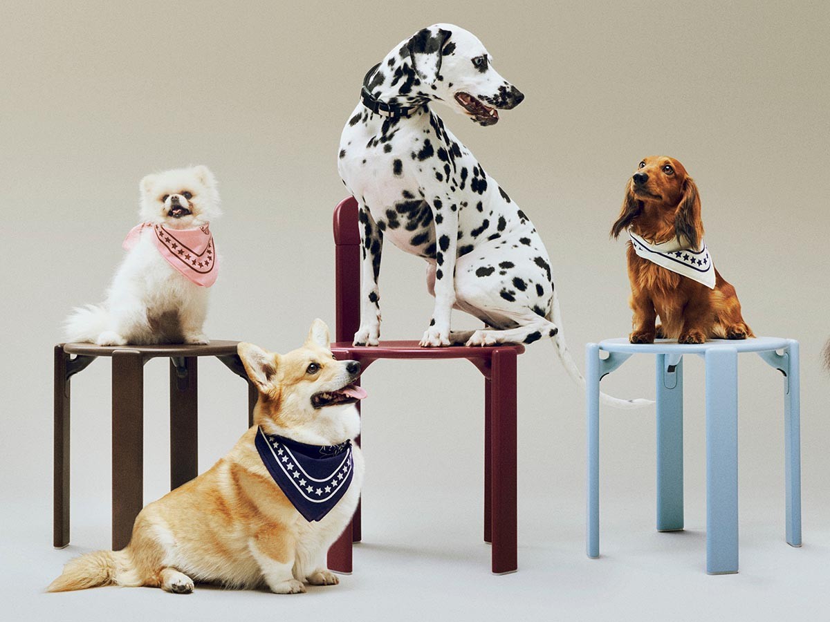 HAY HAY DOGS BY HOLLY GOLIGHTLY
DOGS SCARF / ヘイ ヘイ ドッグ コレクション
ドッグスカーフ （インテリア雑貨 > ペット用品） 5