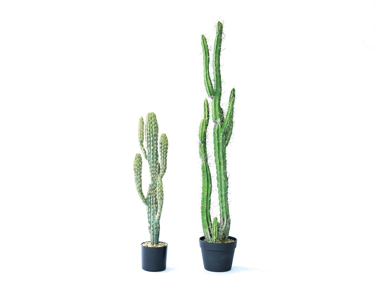 BROWN Column Cactus Pot / ブラウン 柱サボテン ポット 118 （花器・プランター・グリーン > フェイクグリーン・フェイクフラワー） 5