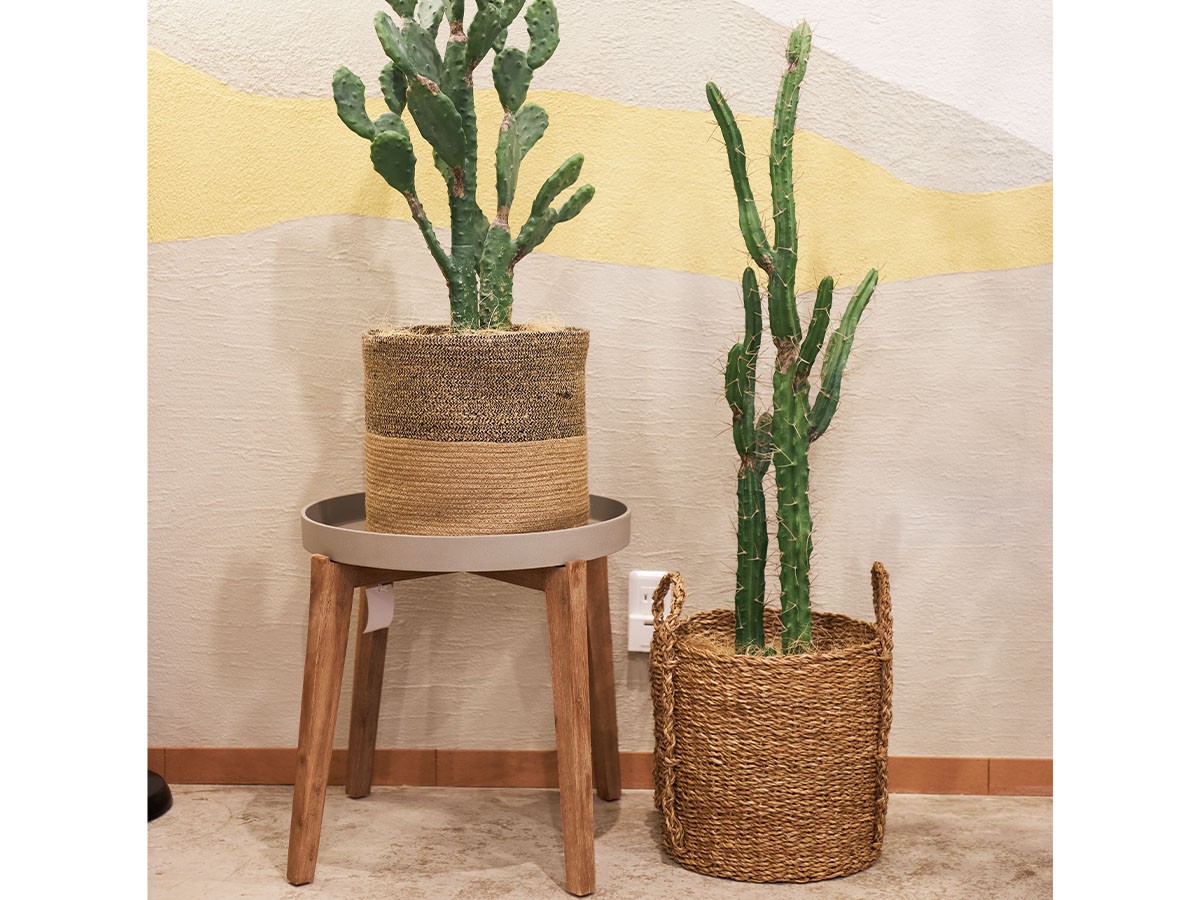 BROWN Column Cactus Pot / ブラウン 柱サボテン ポット 118 （花器・プランター・グリーン > フェイクグリーン・フェイクフラワー） 2