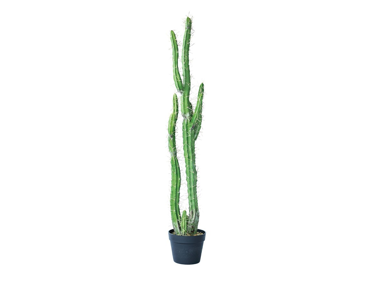BROWN Column Cactus Pot
