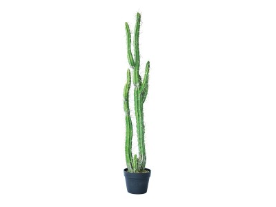 BROWN Column Cactus Pot / ブラウン 柱サボテン ポット 118