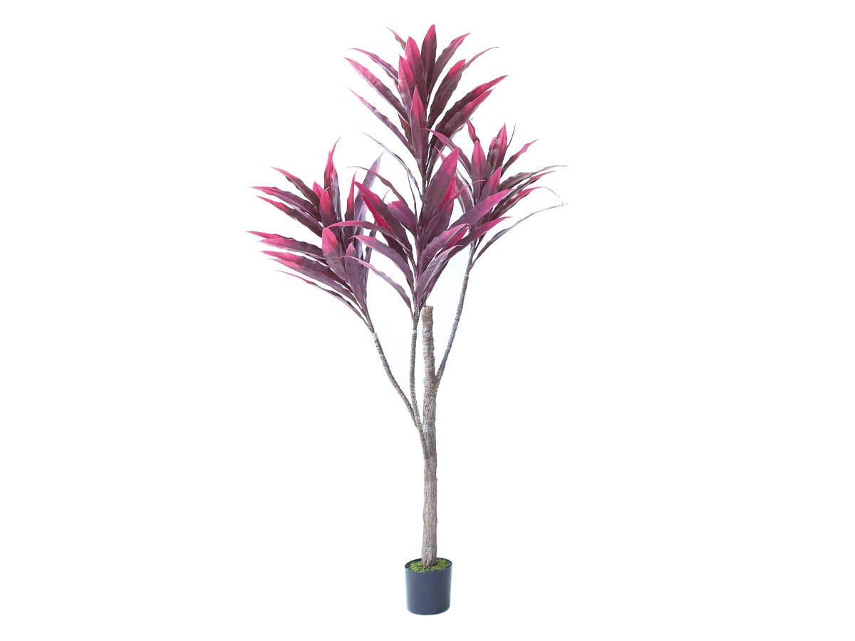BROWN Dracaena Pot Purple / ブラウン ドラセナ ポット 150 パープル (花器・プランター・グリーン > フェイクグリーン・フェイクフラワー) 1