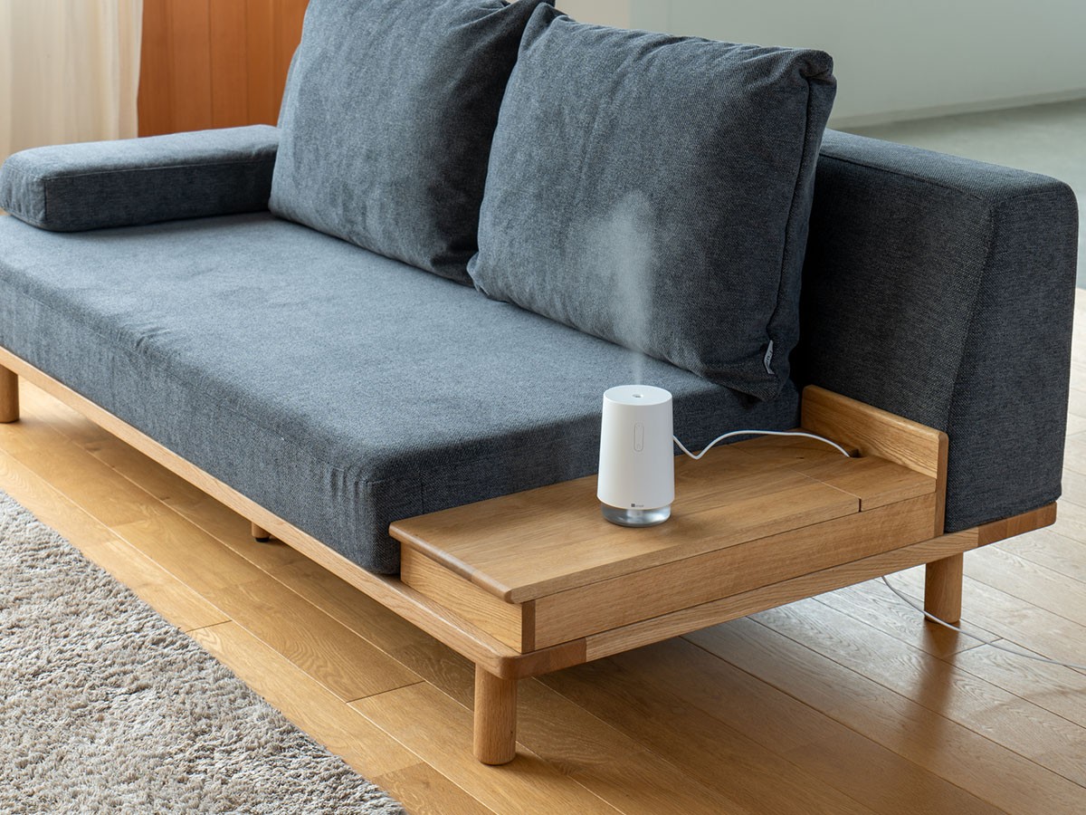 Fumi ながら時間を楽しむソファ / フミ ながら時間を楽しむソファ （ソファ > 二人掛けソファ） 10