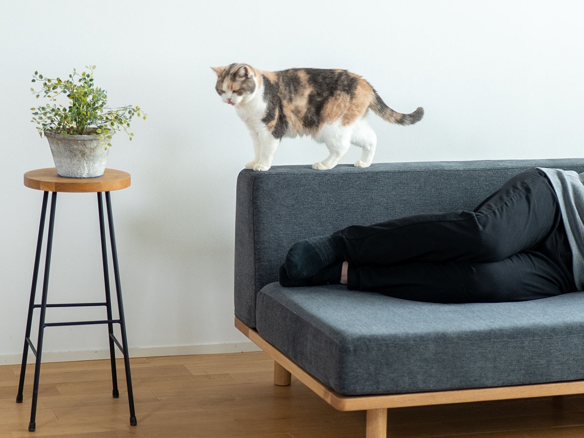 Fumi ながら時間を楽しむソファ / フミ ながら時間を楽しむソファ （ソファ > 二人掛けソファ） 41