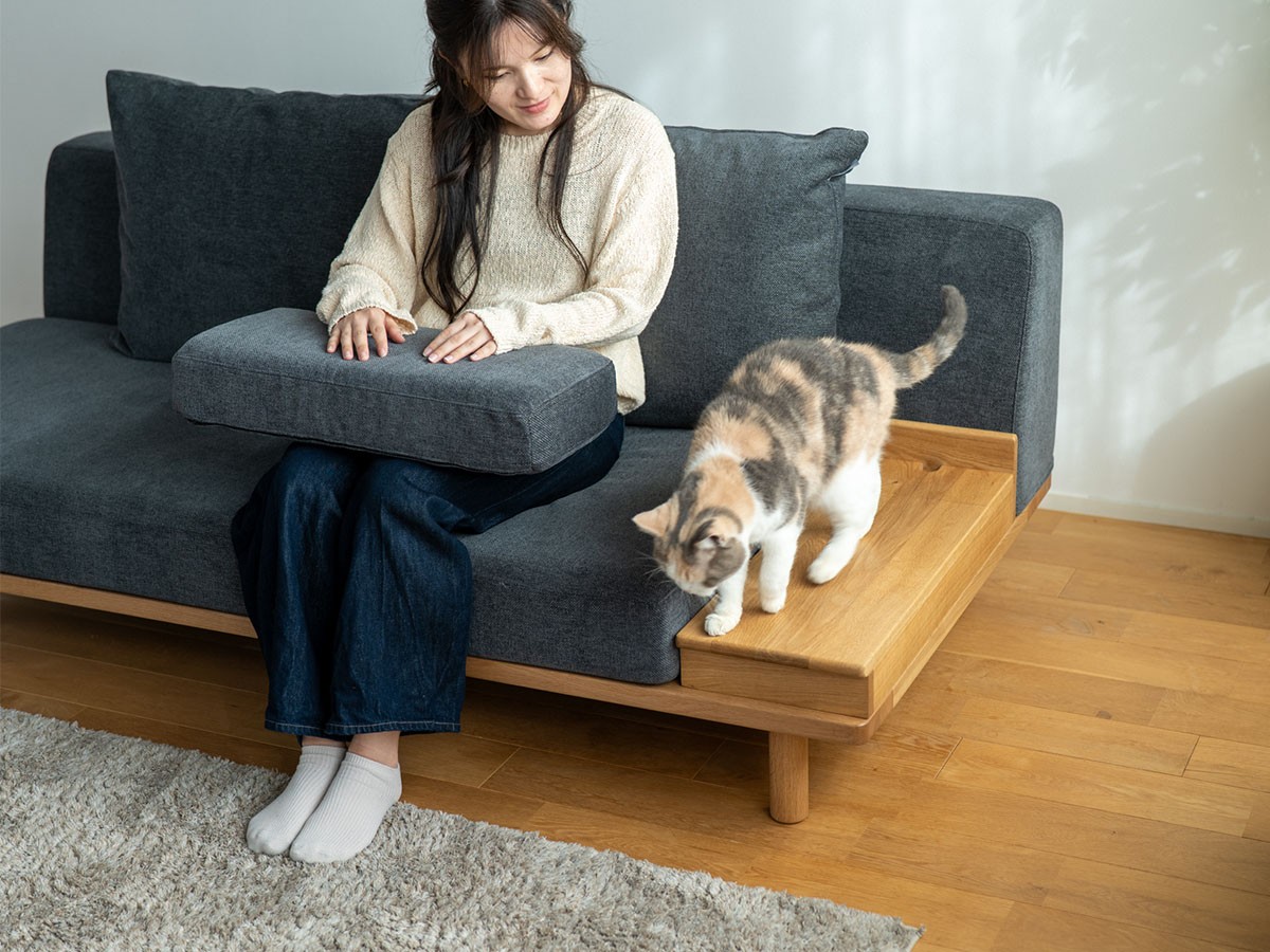 Fumi ながら時間を楽しむソファ / フミ ながら時間を楽しむソファ （ソファ > 二人掛けソファ） 33