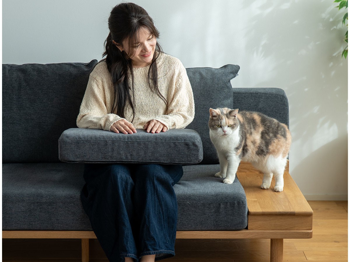 Fumi ながら時間を楽しむソファ / フミ ながら時間を楽しむソファ （ソファ > 二人掛けソファ） 34