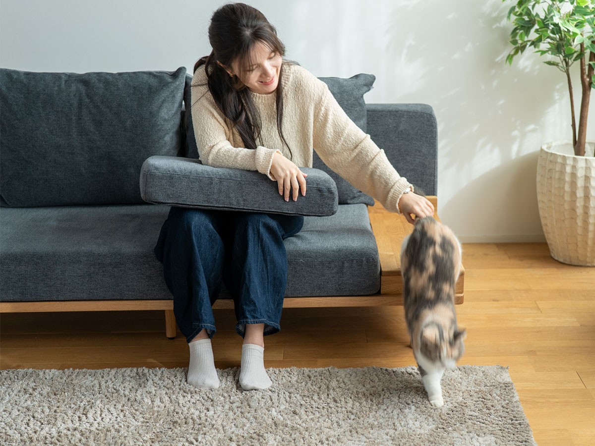 Fumi ながら時間を楽しむソファ / フミ ながら時間を楽しむソファ （ソファ > 二人掛けソファ） 35