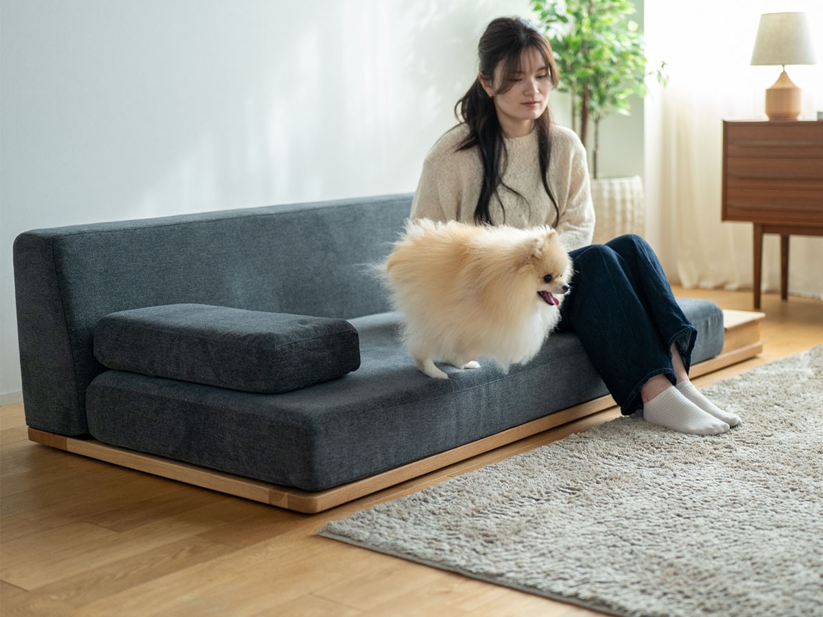 Fumi ながら時間を楽しむソファ / フミ ながら時間を楽しむソファ （ソファ > 二人掛けソファ） 48