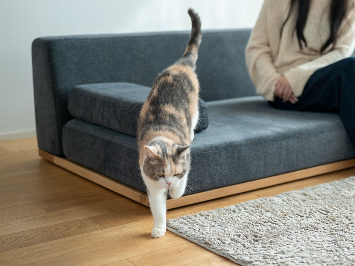 Fumi ながら時間を楽しむソファ / フミ ながら時間を楽しむソファ （ソファ > 二人掛けソファ） 51