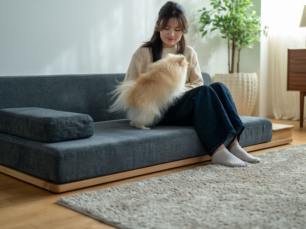 Fumi ながら時間を楽しむソファ / フミ ながら時間を楽しむソファ （ソファ > 二人掛けソファ） 49