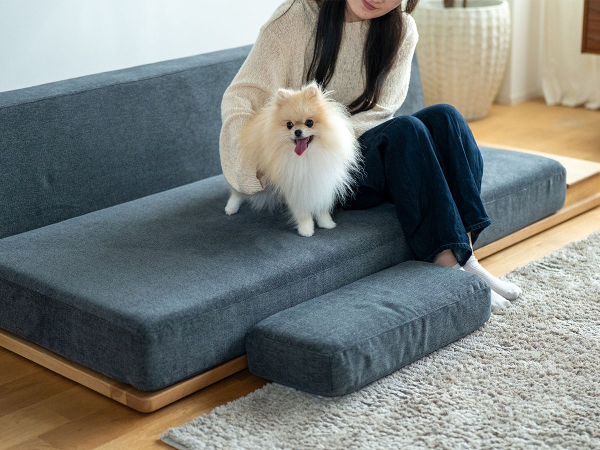 Fumi ながら時間を楽しむソファ / フミ ながら時間を楽しむソファ （ソファ > 二人掛けソファ） 50