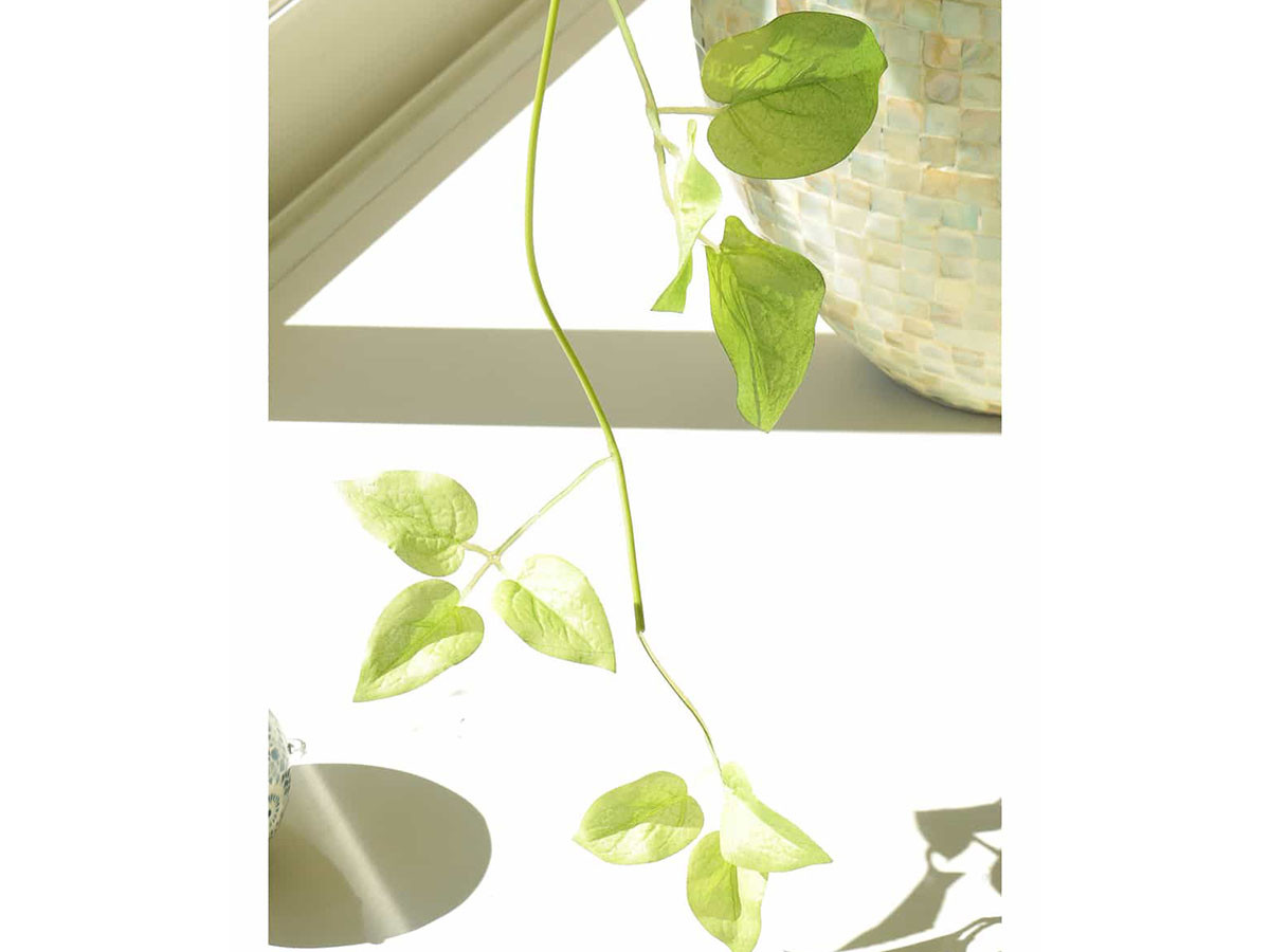 EMILIO ROBBA CASABLANCA / エミリオロバ カサブランカ #101699 （花器・プランター・グリーン > フェイクグリーン・フェイクフラワー） 9