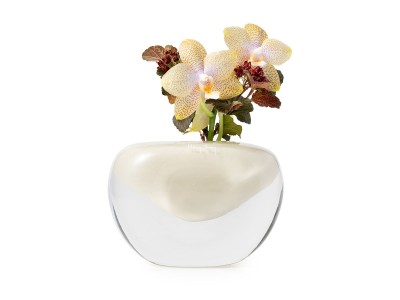 Henry Dean V.Jerzy S / ヘンリーディーン V.ジャージー S