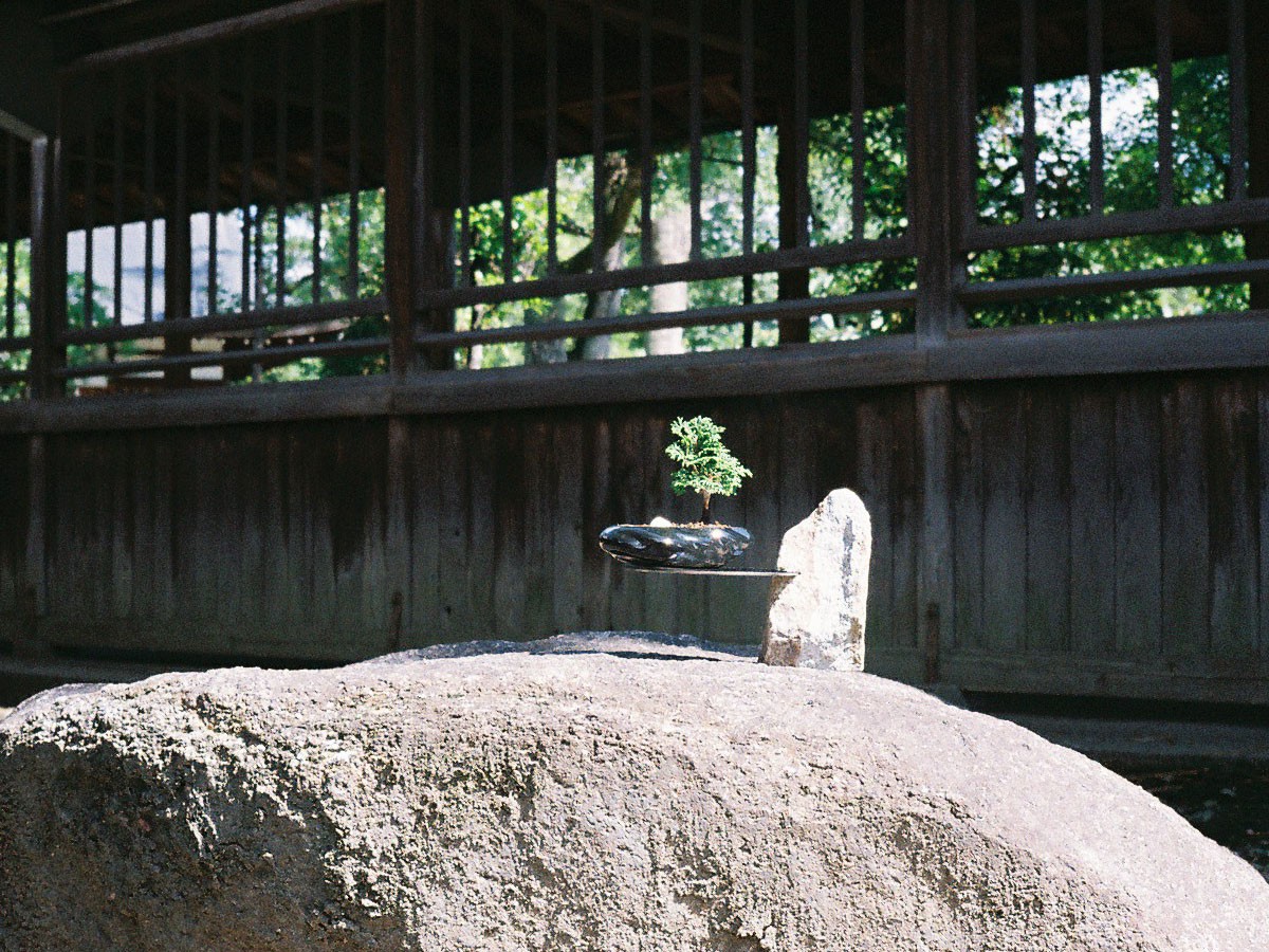 KOKON BONSAI 石の台座 / ココン ボンサイ 石の台座 小ぶり （雑貨・その他インテリア家具 > その他インテリア雑貨） 29