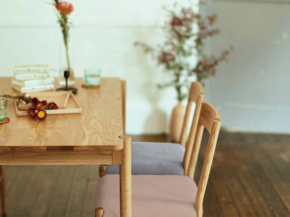 stay dining chair / ステイ ダイニングチェア （チェア・椅子 > ダイニングチェア） 4