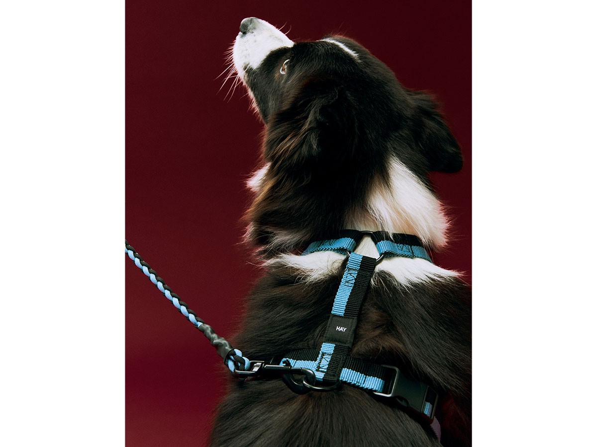 HAY HAY DOGS BY HOLLY GOLIGHTLY
DOGS LEASH BRAIDED / ヘイ ヘイ ドッグ コレクション
ドッグリーシュ ブレイデッド （インテリア雑貨 > ペット用品） 7