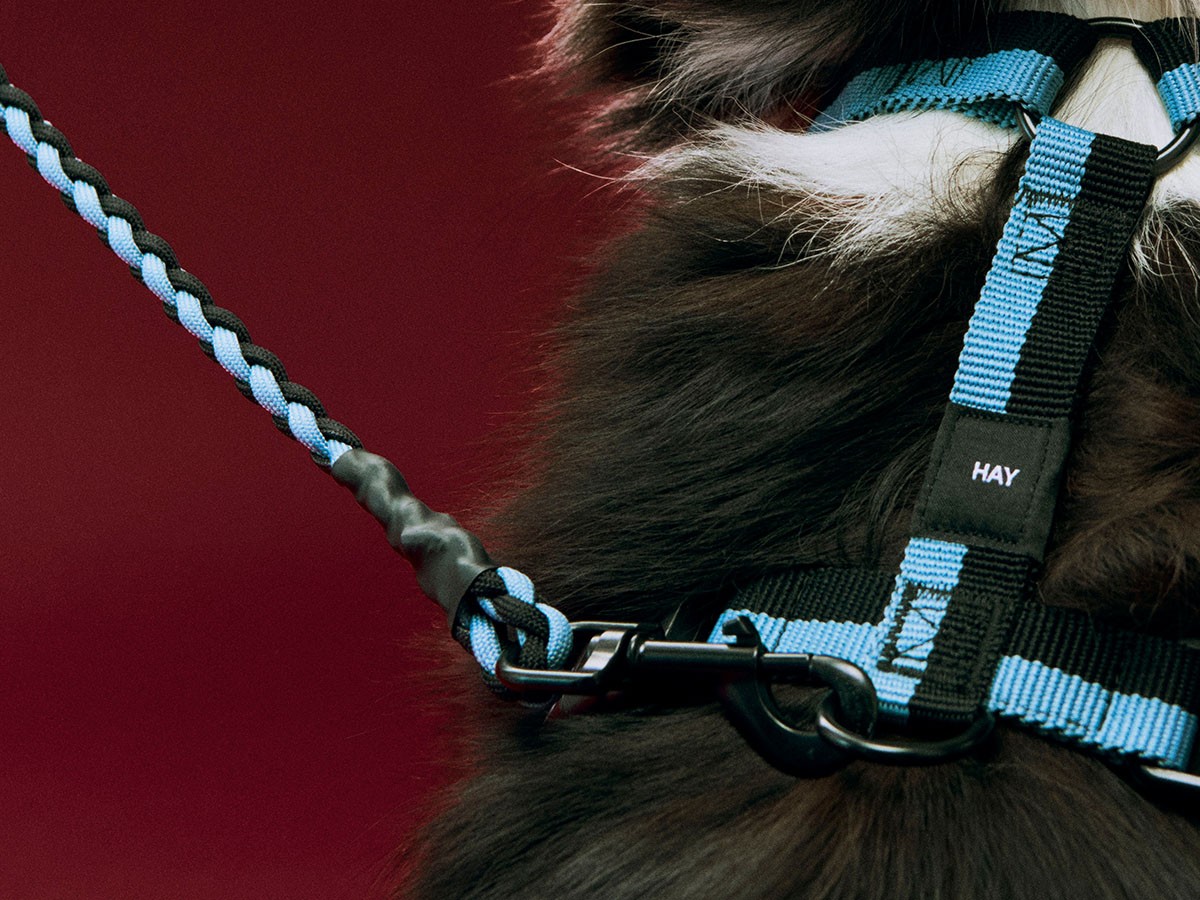 HAY HAY DOGS BY HOLLY GOLIGHTLY
DOGS LEASH BRAIDED / ヘイ ヘイ ドッグ コレクション
ドッグリーシュ ブレイデッド （インテリア雑貨 > ペット用品） 8