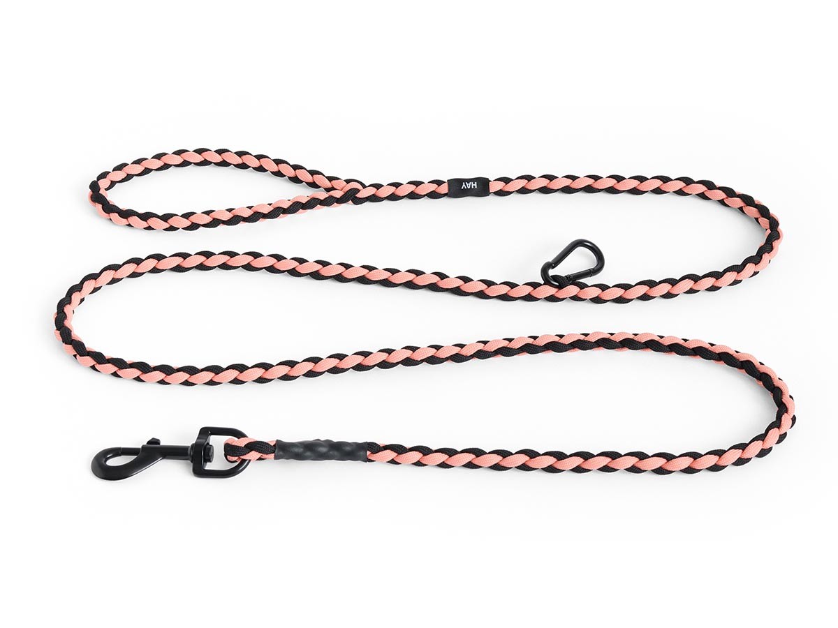 HAY HAY DOGS BY HOLLY GOLIGHTLY
DOGS LEASH BRAIDED