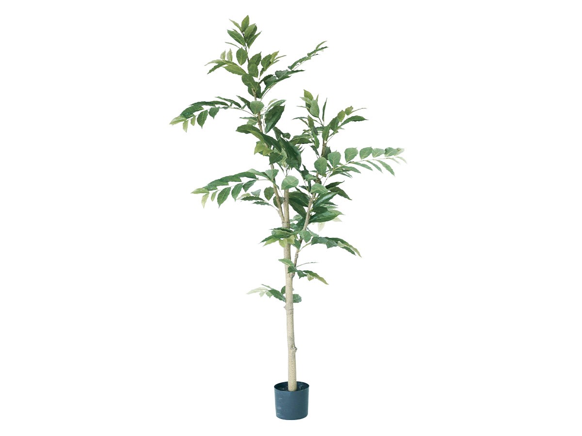BROWN Coffee Plant Pot