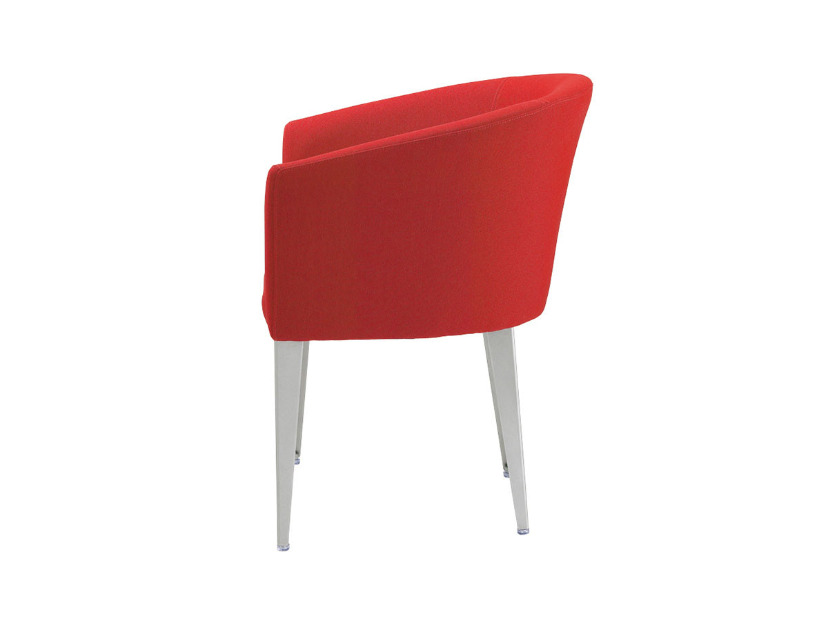 ARM CHAIR / アームチェア f18254 （チェア・椅子 > ダイニングチェア） 3
