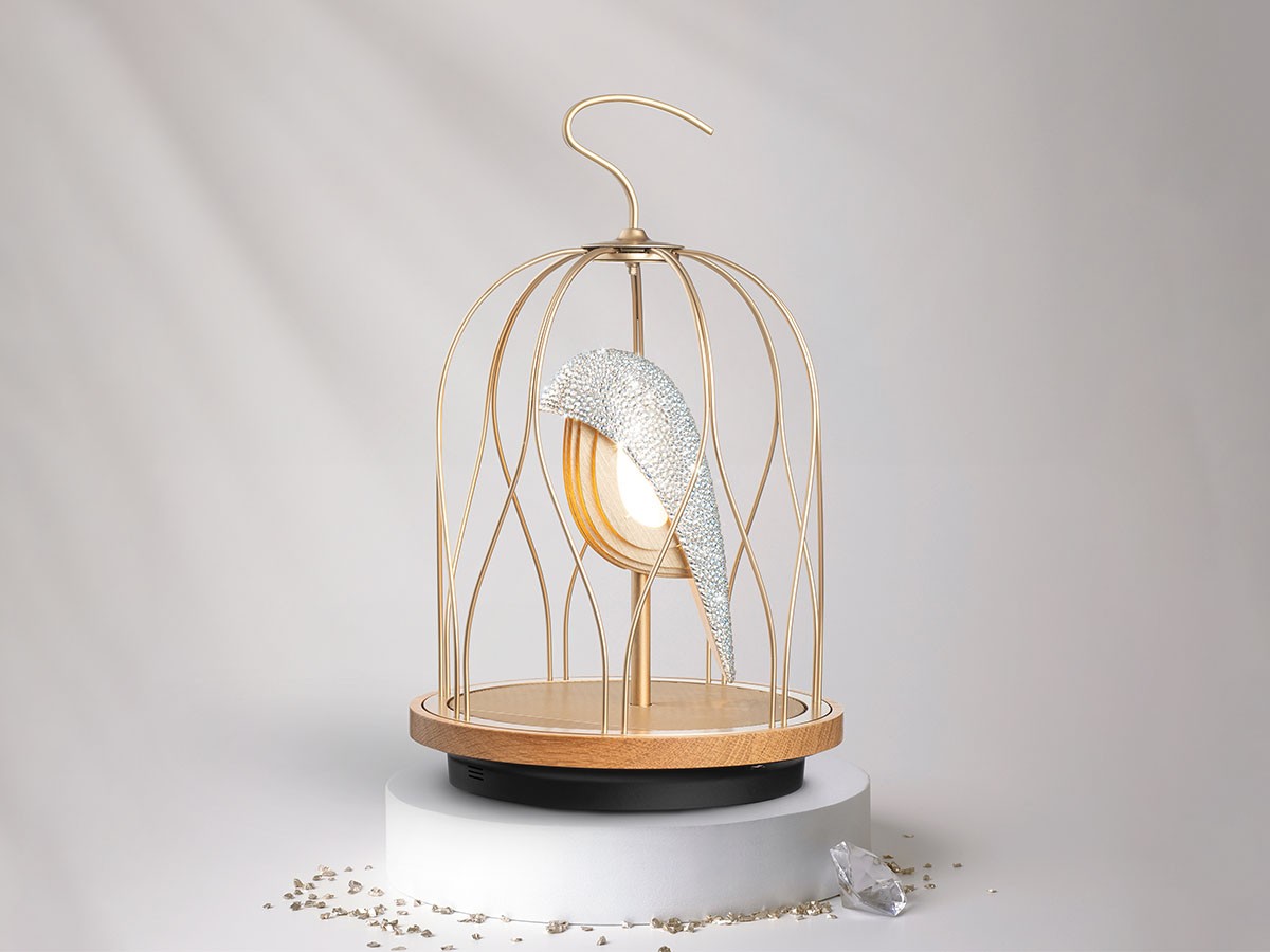 FLYMEe PLUS JINGOOs
Radiant Star