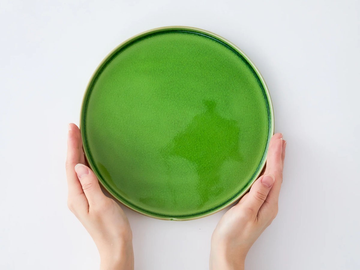 HASU GREEN CRACKLE Plate L / ハス 緑貫入 大皿 （食器・テーブルウェア > 皿・プレート） 8