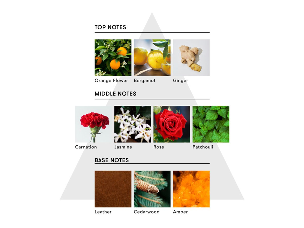 SINN PURETE MINDFUL REED DIFFUSER / シンピュルテ マインドフル リード ディフューザー
LOVE UNLOCK / 解き放たれた愛情 （インテリア雑貨 > ルームフレグランス） 8