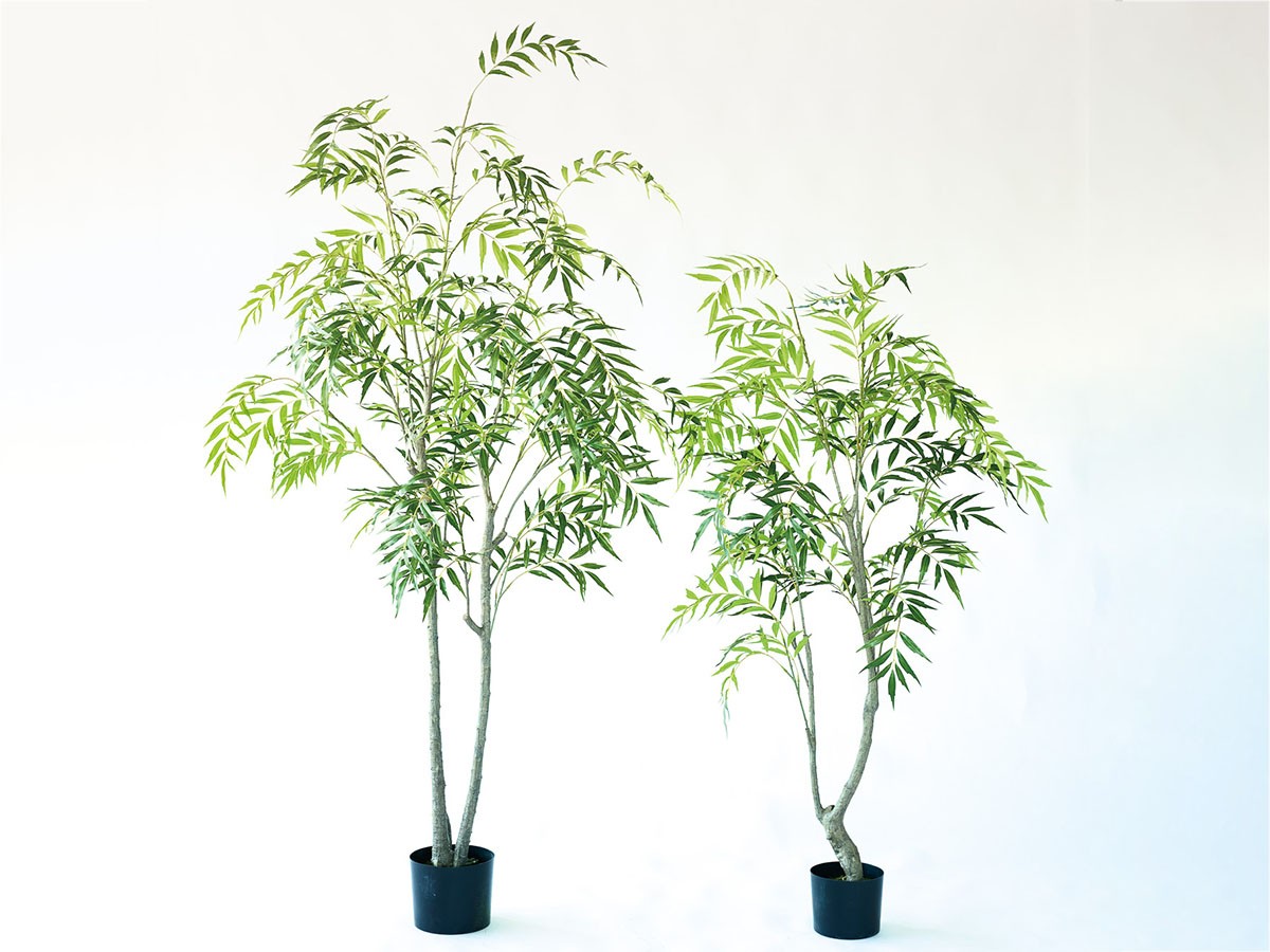BROWN Chinese Mahonia Pot / ブラウン マホニア コンフューサ ポット 150 （花器・プランター・グリーン > フェイクグリーン・フェイクフラワー） 4