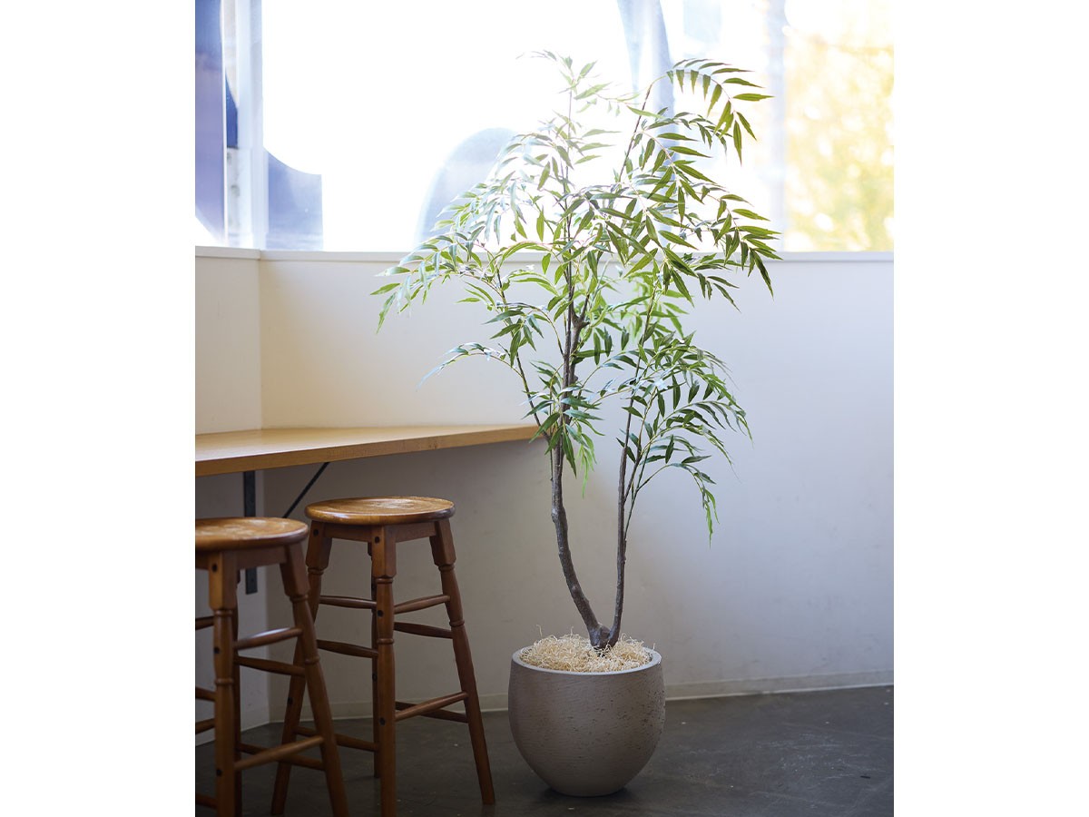 BROWN Chinese Mahonia Pot / ブラウン マホニア コンフューサ ポット 150 （花器・プランター・グリーン > フェイクグリーン・フェイクフラワー） 2