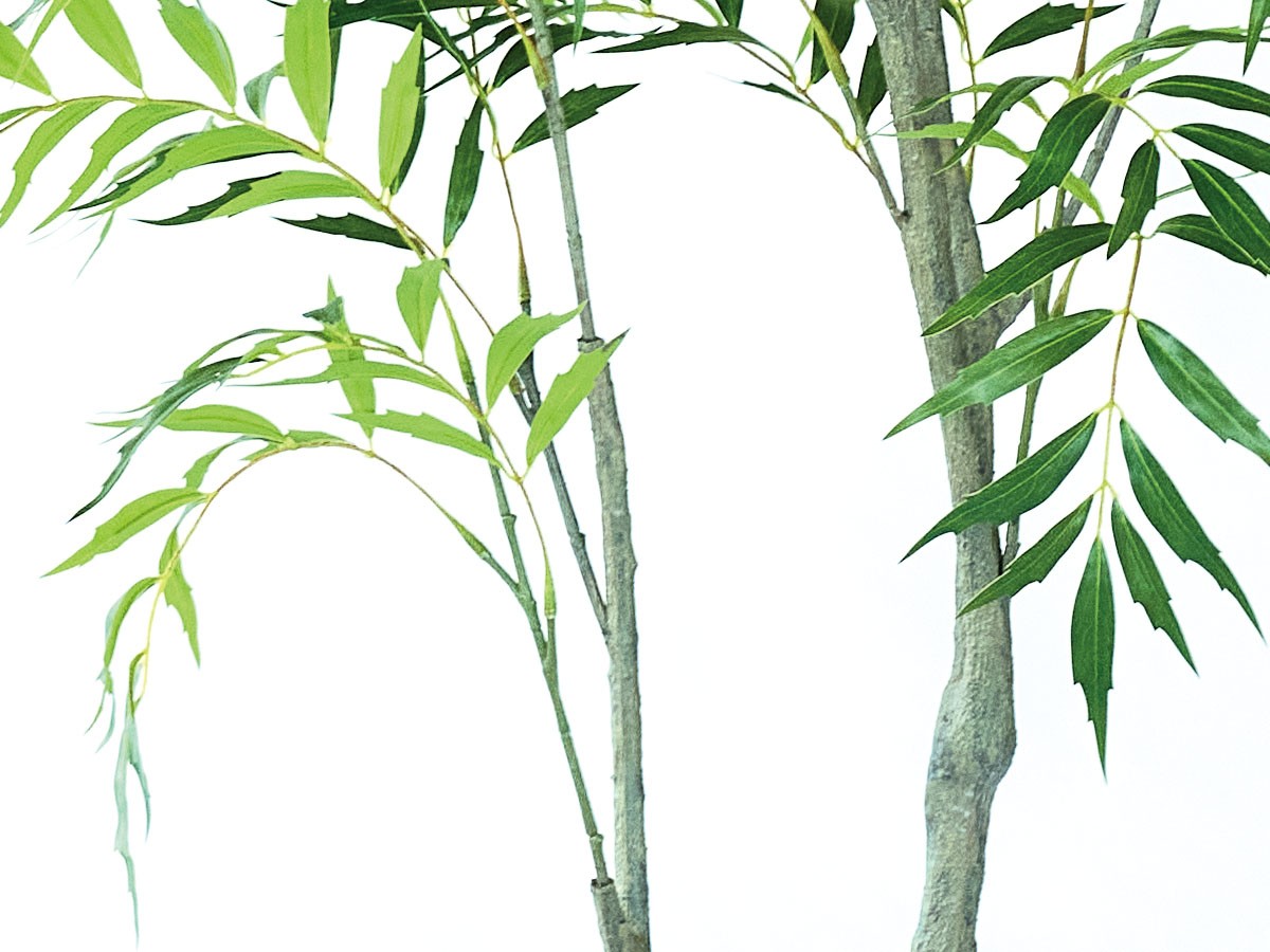 BROWN Chinese Mahonia Pot / ブラウン マホニア コンフューサ ポット 150 （花器・プランター・グリーン > フェイクグリーン・フェイクフラワー） 7