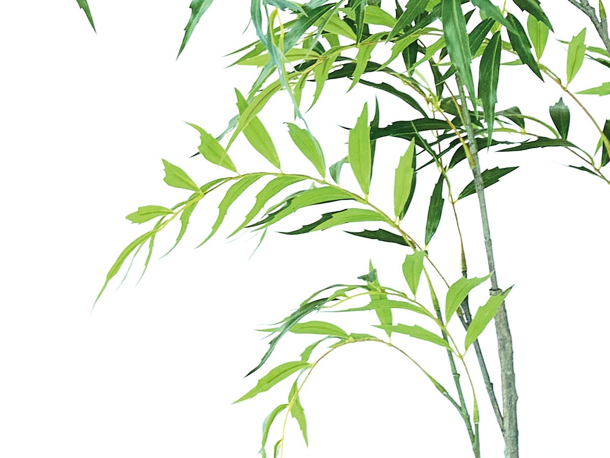 BROWN Chinese Mahonia Pot / ブラウン マホニア コンフューサ ポット 150 （花器・プランター・グリーン > フェイクグリーン・フェイクフラワー） 5
