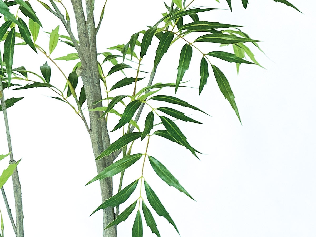 BROWN Chinese Mahonia Pot / ブラウン マホニア コンフューサ ポット 150 （花器・プランター・グリーン > フェイクグリーン・フェイクフラワー） 6