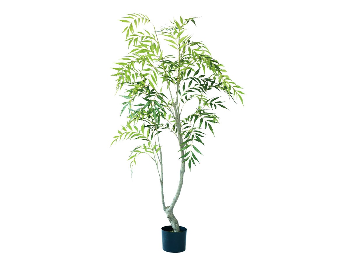 BROWN Chinese Mahonia Pot