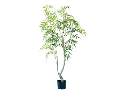 BROWN Yucca Rostrata Pot / ブラウン ユッカ ロストラータ ポット 91
