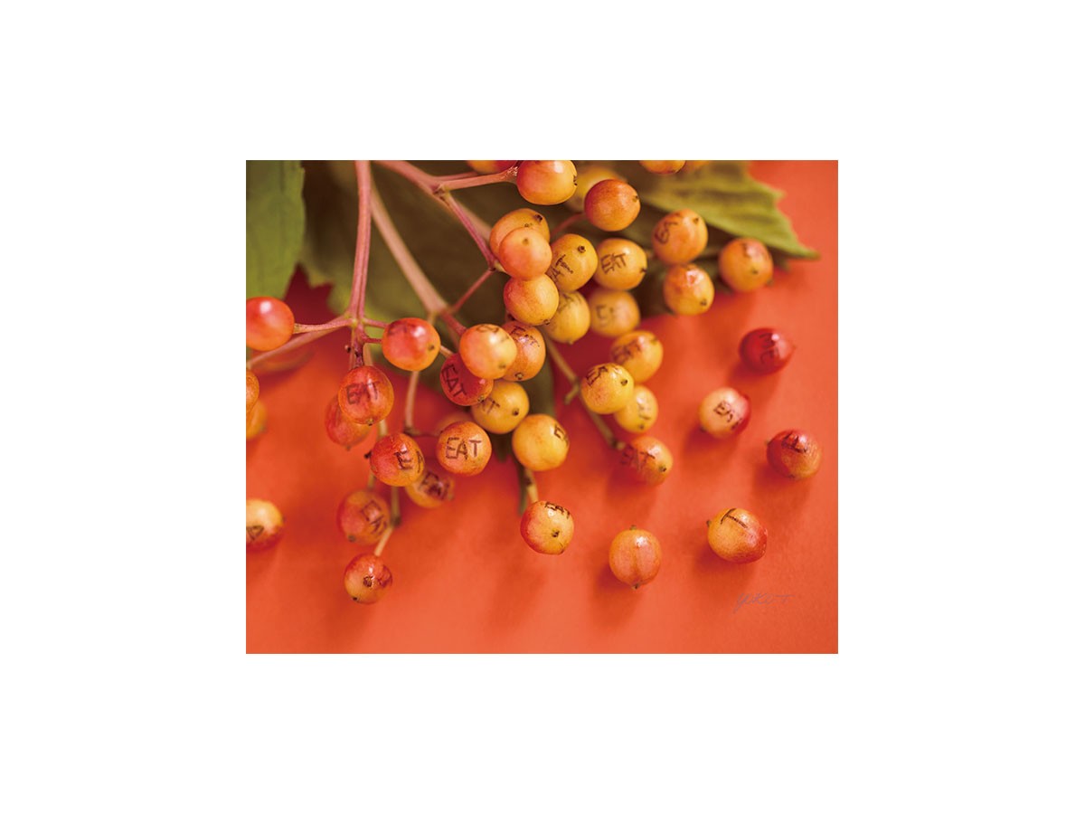 Food inspiered Eat Me