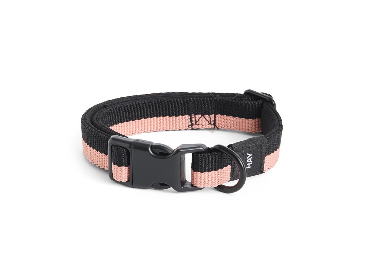 HAY HAY DOGS BY HOLLY GOLIGHTLY
DOGS COLLAR FLAT SM / ヘイ ヘイ ドッグ コレクション
ドッグカラー フラット SM （インテリア雑貨 > ペット用品） 4